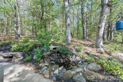 84 Chisholm Street Saluda NC 28773
