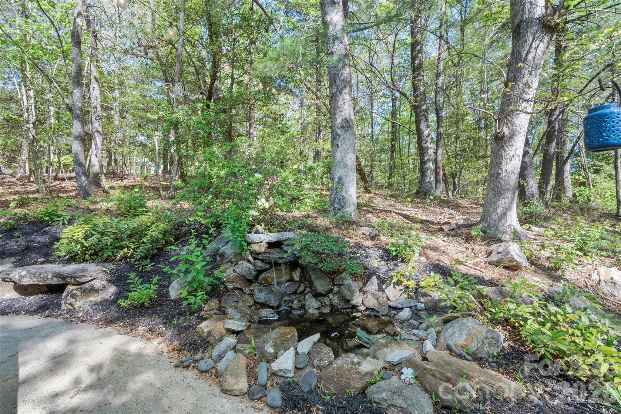 84 Chisholm Street Saluda NC 28773