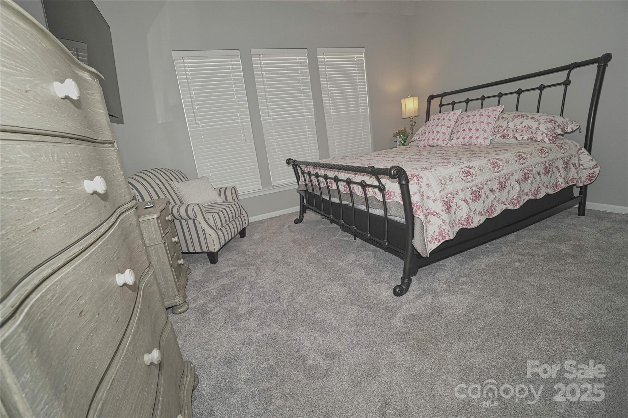 19182 Mallard Drive Fort Mill SC 29707