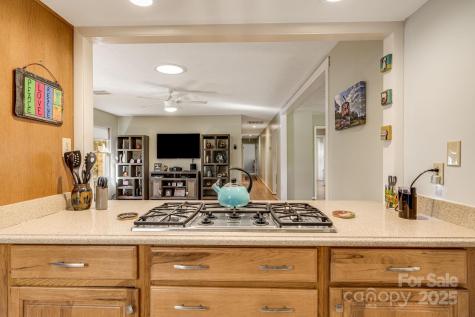 226 Wildflower Road Asheville NC 28804