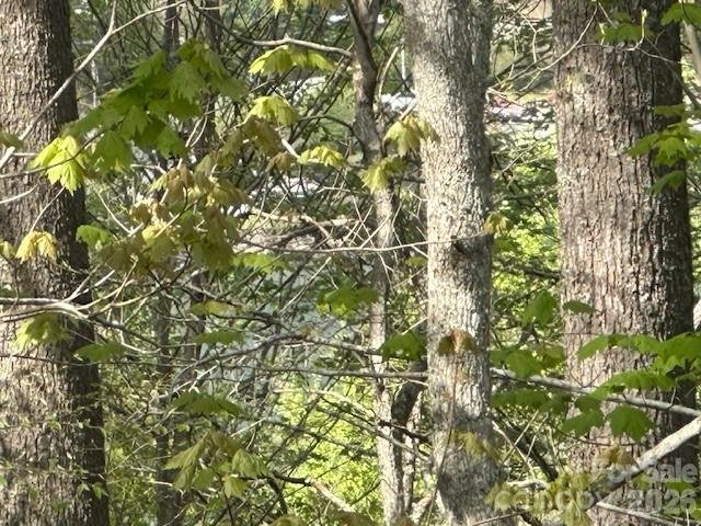 134 Mossy Ridge Road Cullowhee NC 28723