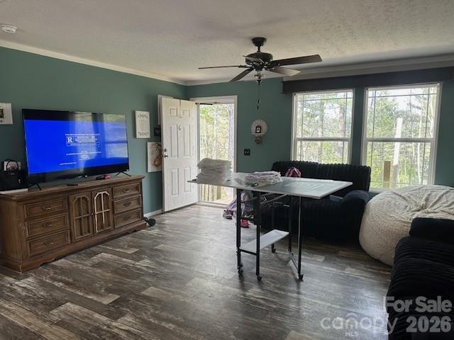 134 Mossy Ridge Road Cullowhee NC 28723