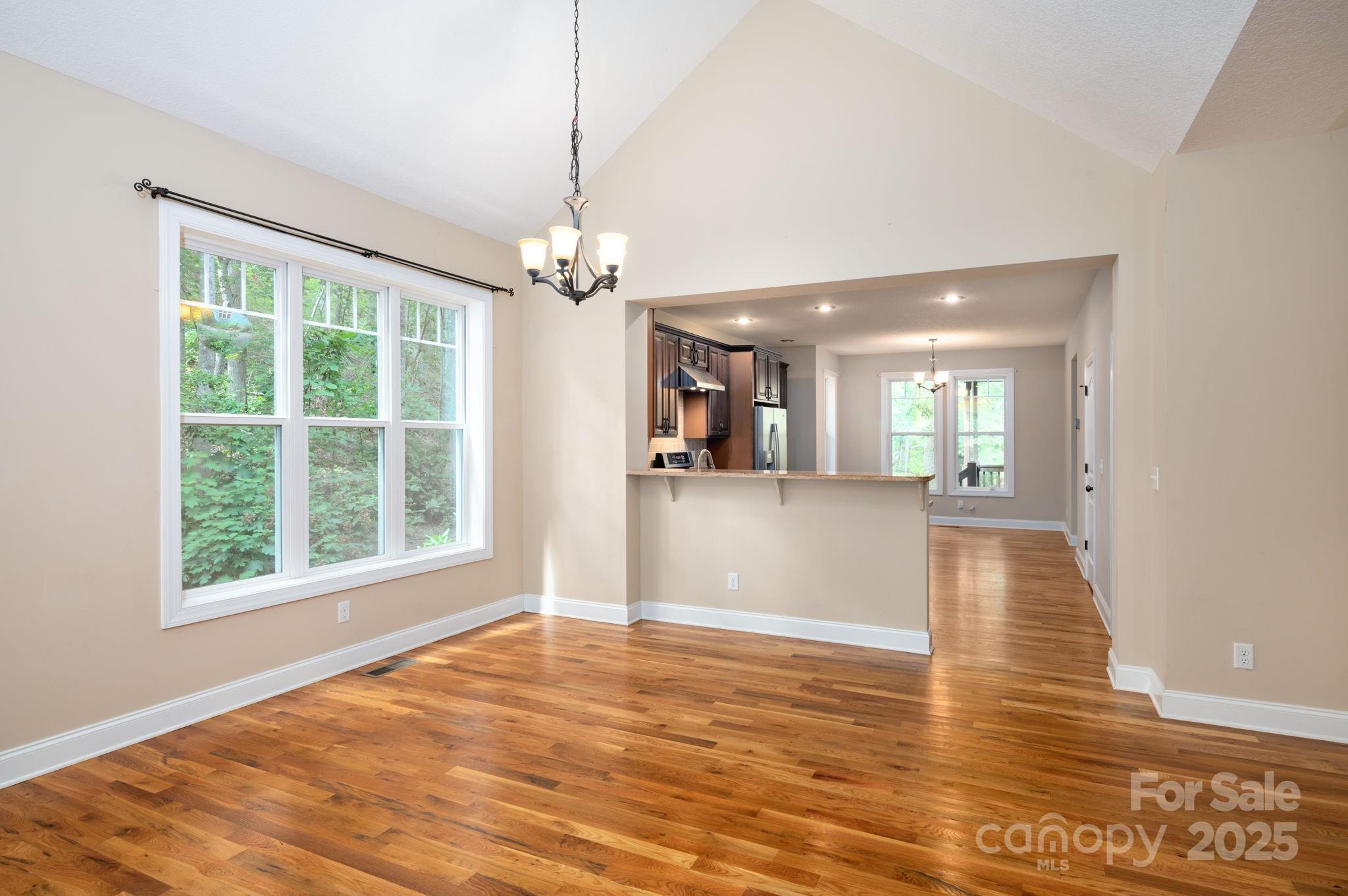 17 Bohemian Lane Asheville NC 28805