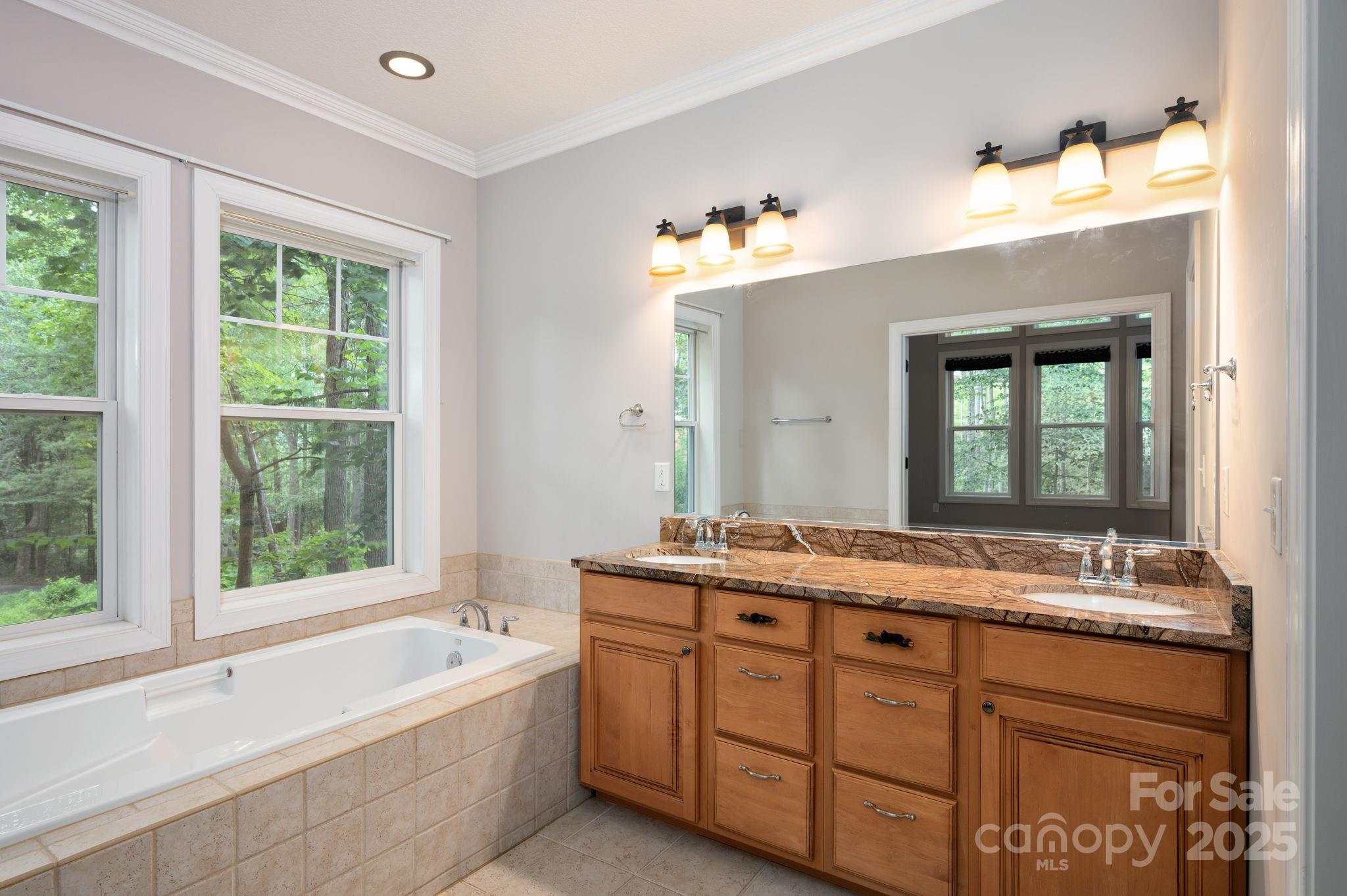 17 Bohemian Lane Asheville NC 28805