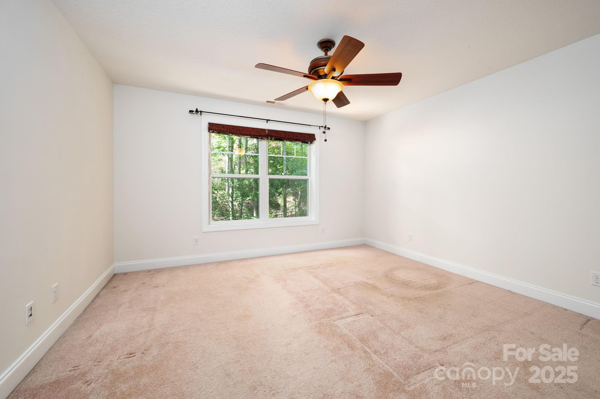 17 Bohemian Lane Asheville NC 28805