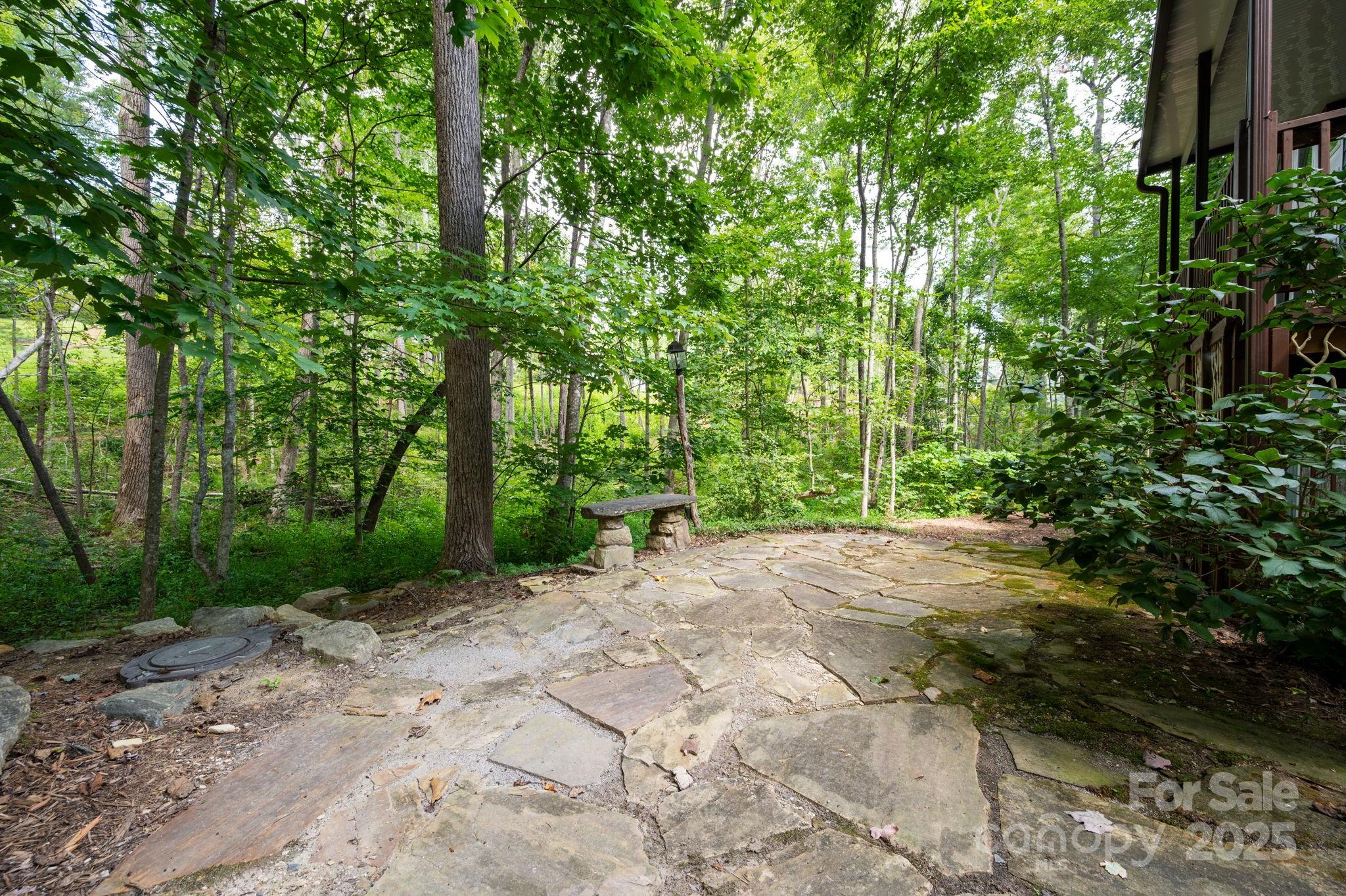 17 Bohemian Lane Asheville NC 28805