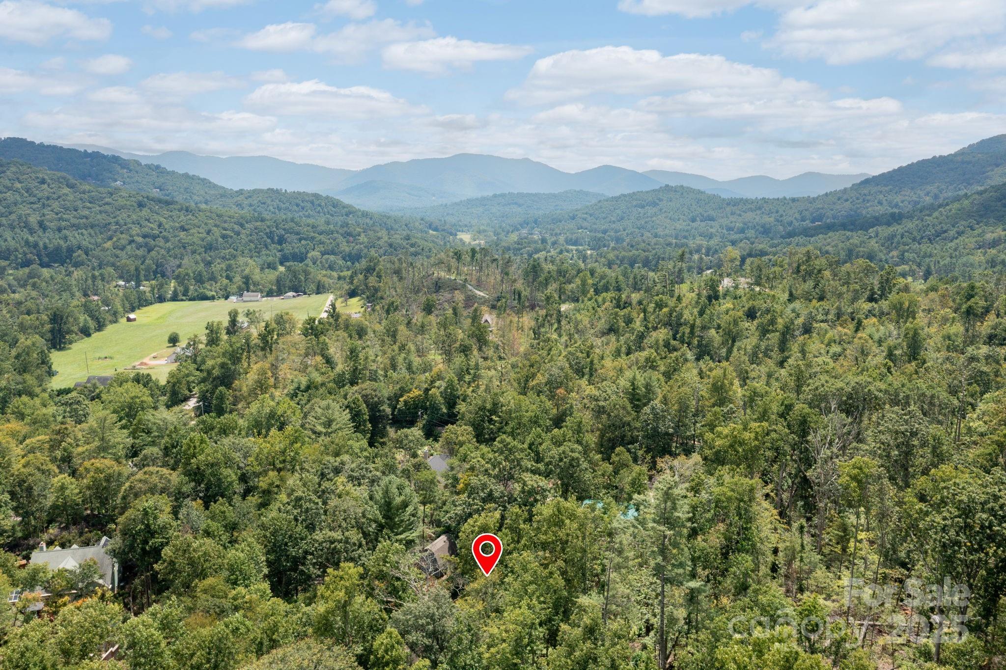 17 Bohemian Lane Asheville NC 28805