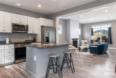 35 Alice Clement Lane Asheville NC 28803