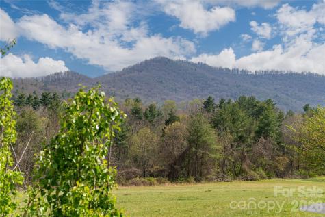 35 Alice Clement Lane Asheville NC 28803