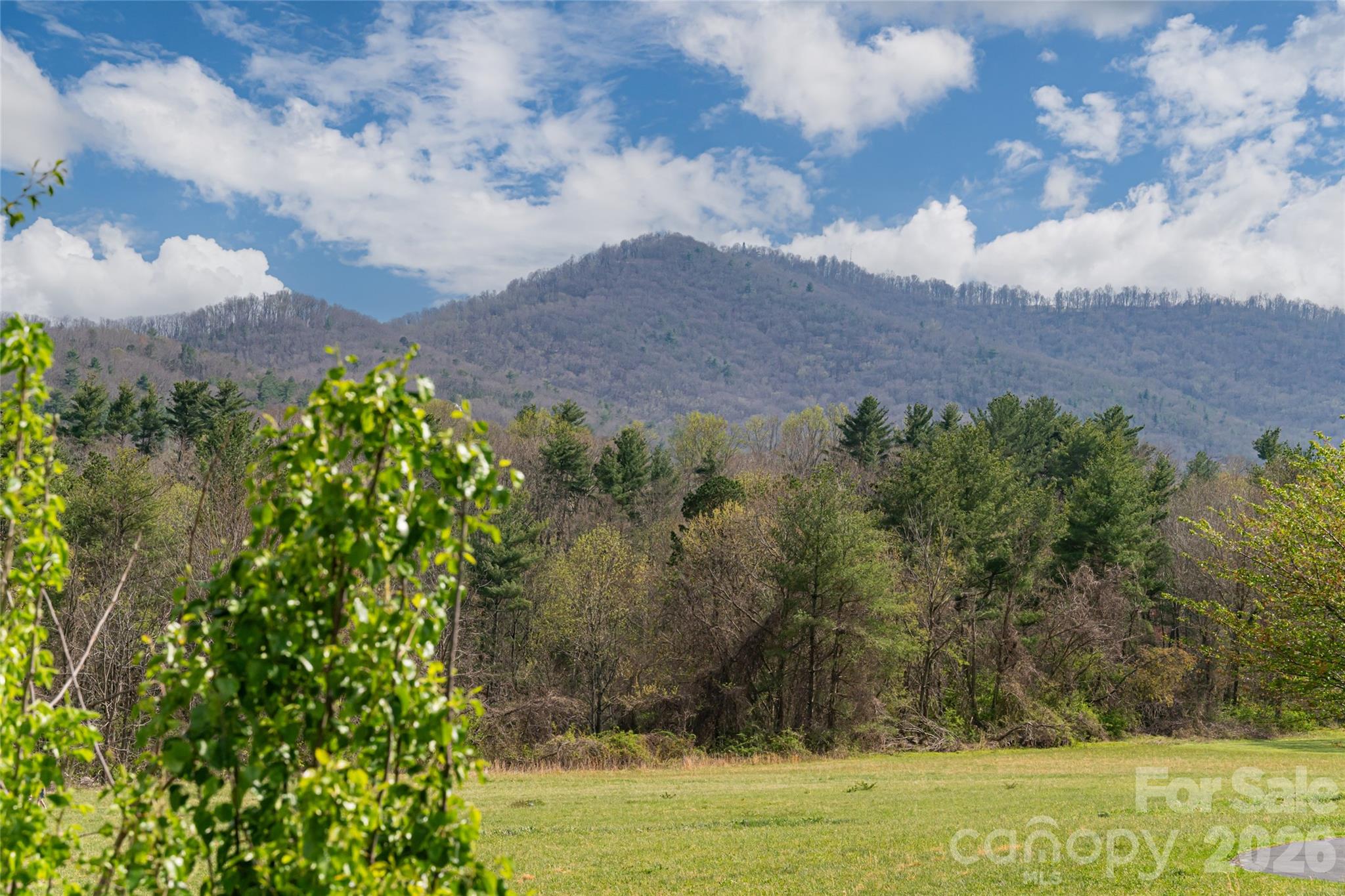 35 Alice Clement Lane Asheville NC 28803
