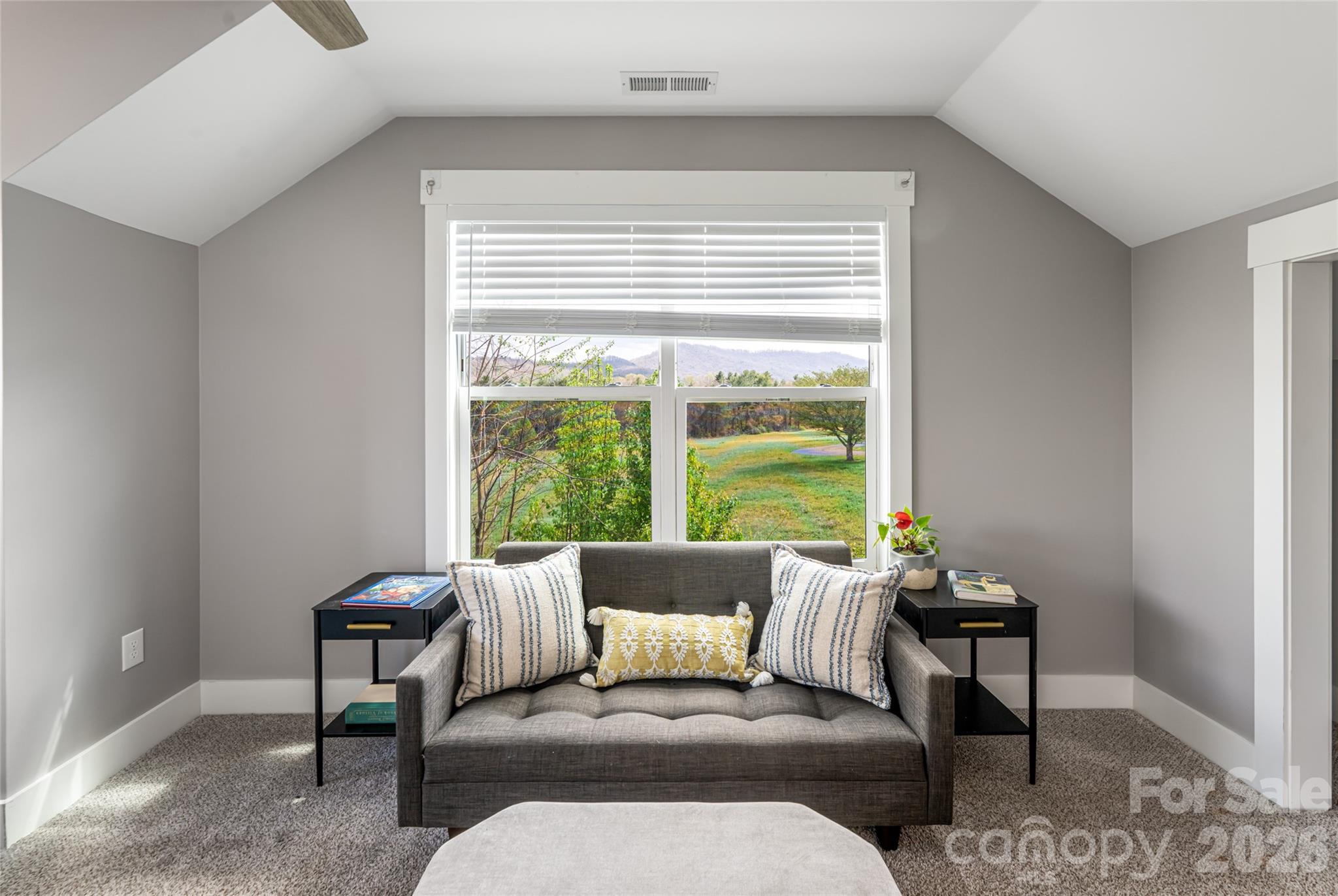 35 Alice Clement Lane Asheville NC 28803