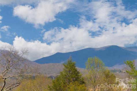 35 Alice Clement Lane Asheville NC 28803