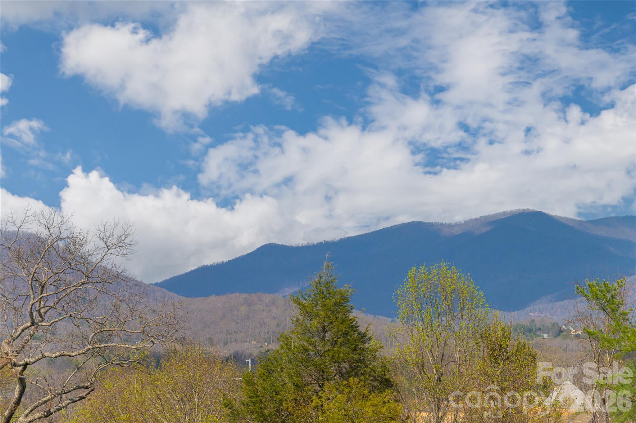 35 Alice Clement Lane Asheville NC 28803
