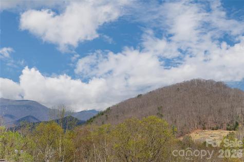 35 Alice Clement Lane Asheville NC 28803
