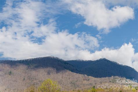 35 Alice Clement Lane Asheville NC 28803