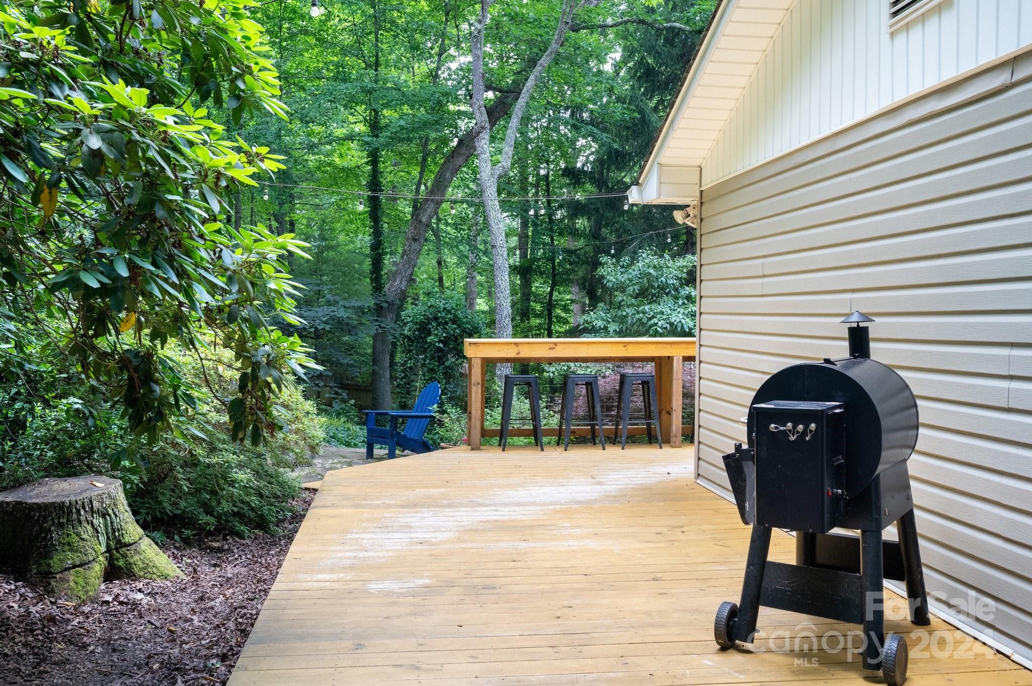 19 Bran Rick Lane Arden NC 28704