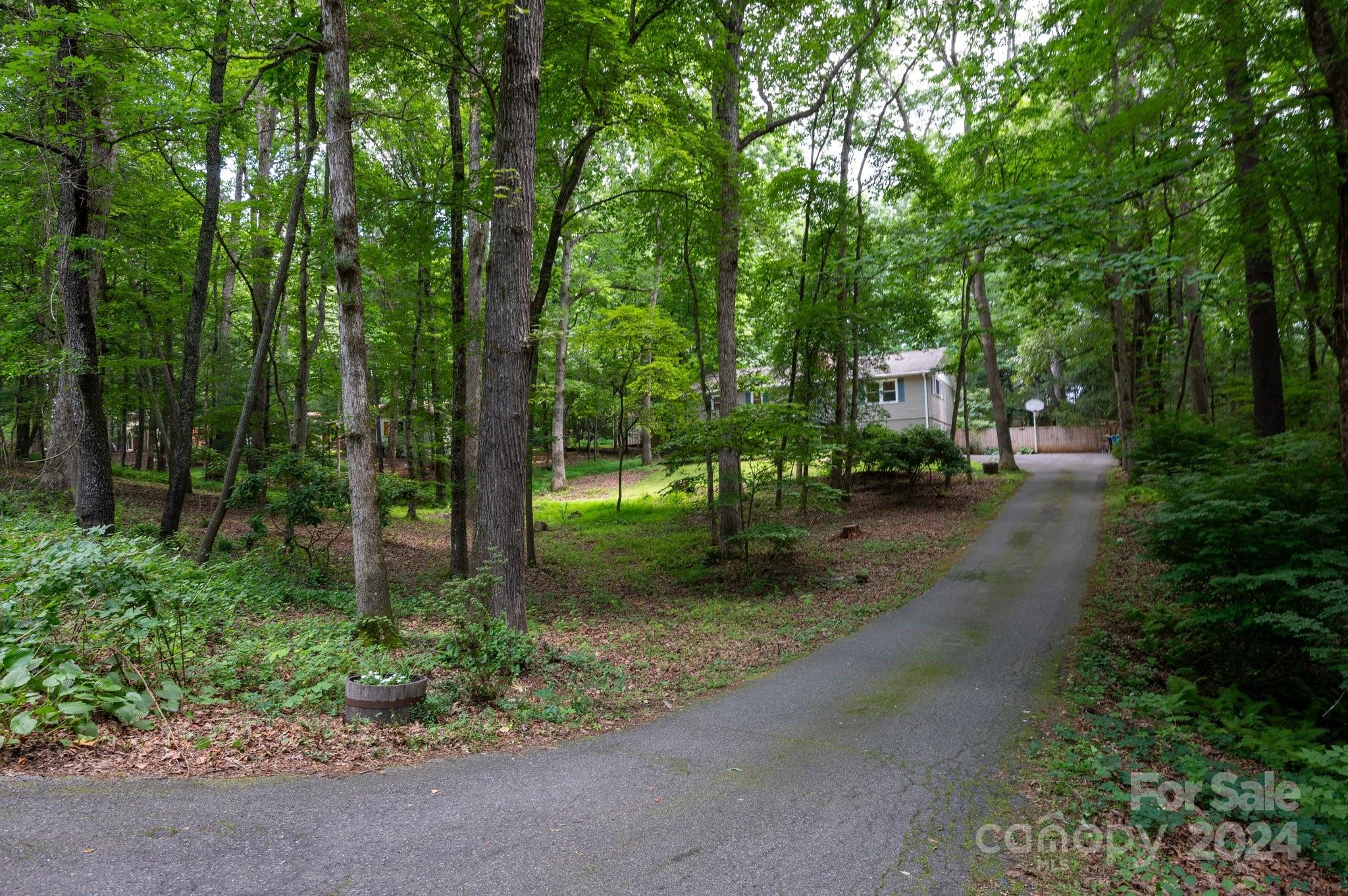 19 Bran Rick Lane Arden NC 28704