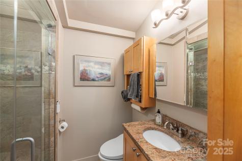 106 Spooks Branch Road Asheville NC 28804