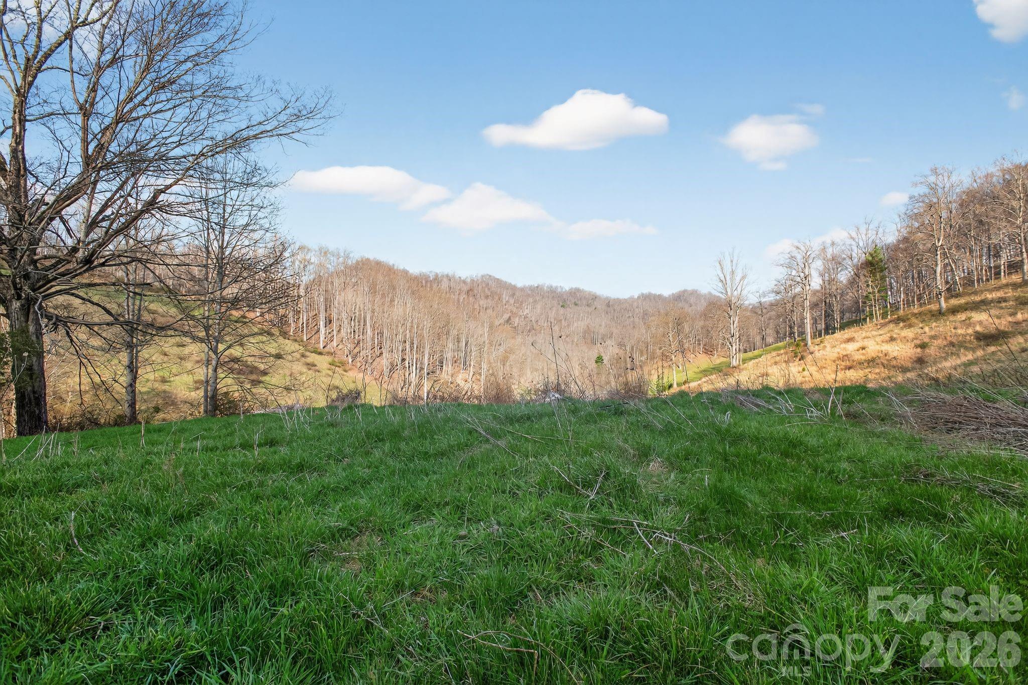 212 Ball Hollow Lane Burnsville NC 28714