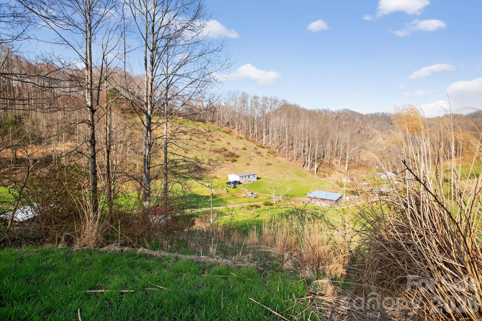 212 Ball Hollow Lane Burnsville NC 28714