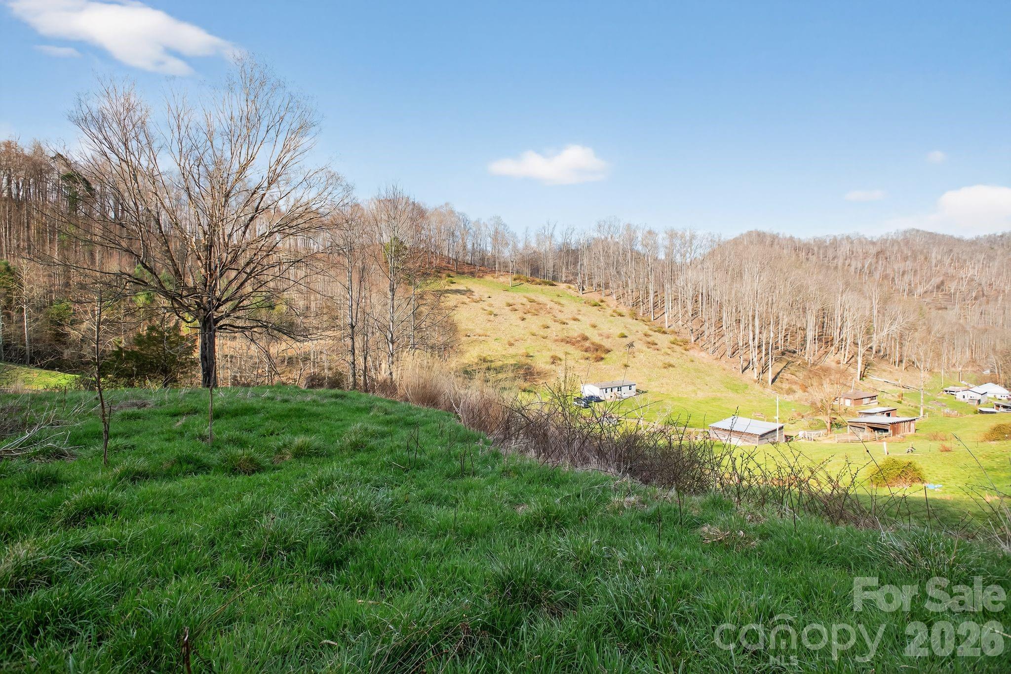 212 Ball Hollow Lane Burnsville NC 28714
