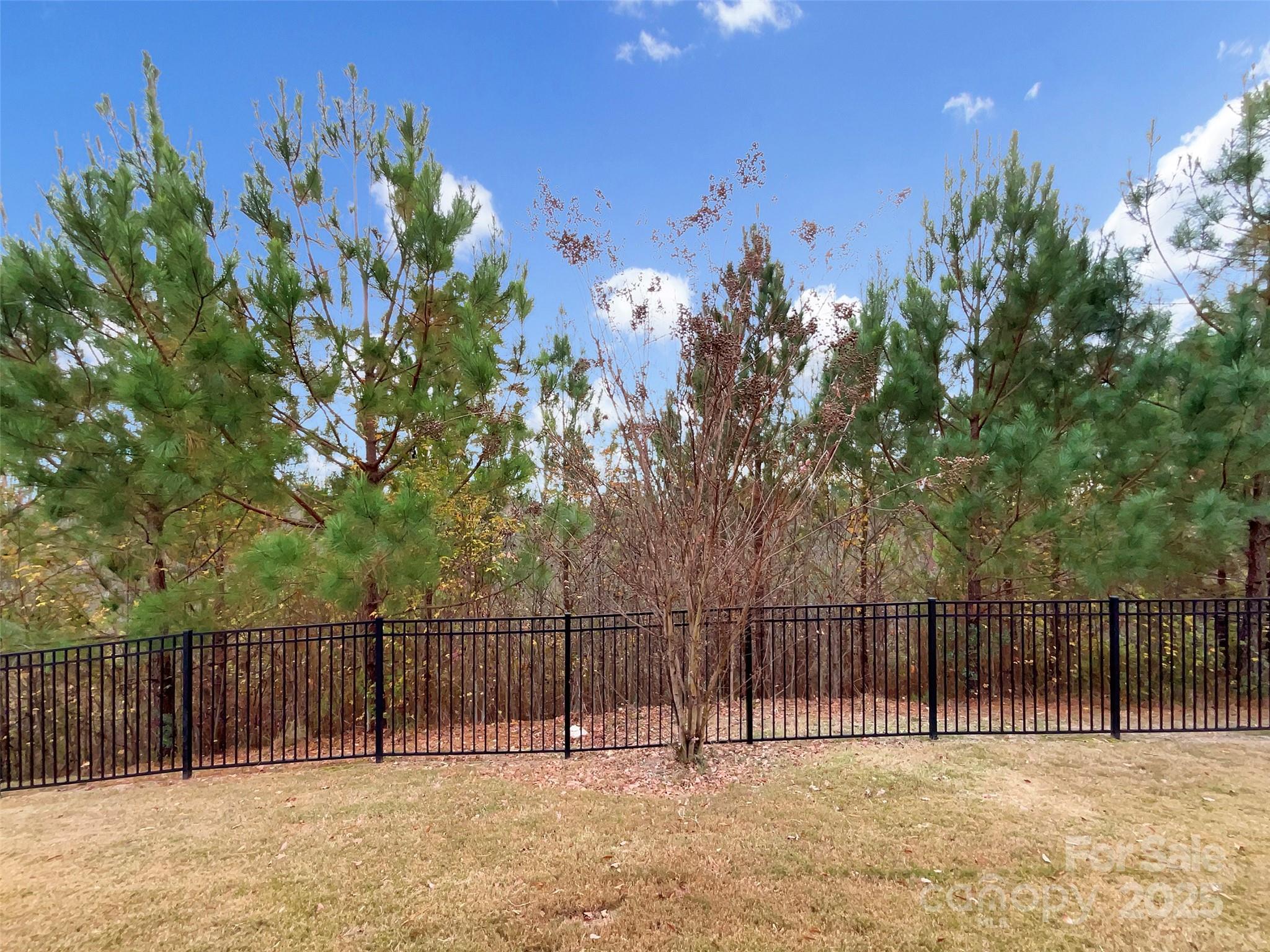 2009 Trindle Vine Lane Waxhaw NC 28173
