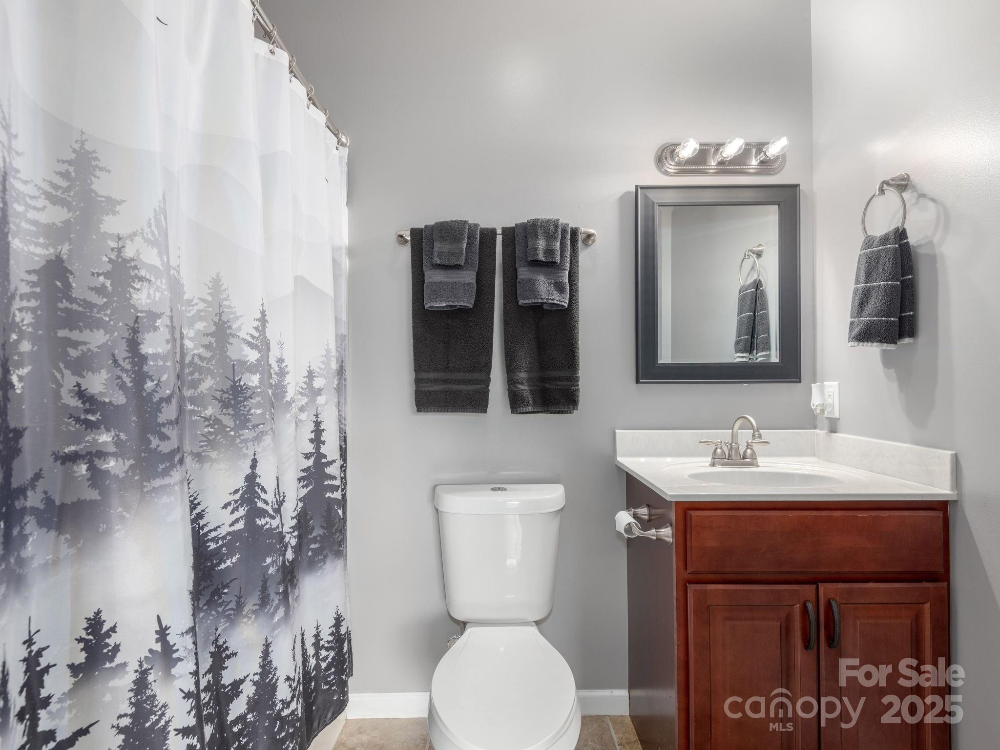 29 Enchanted Oak Lane Alexander NC 28701