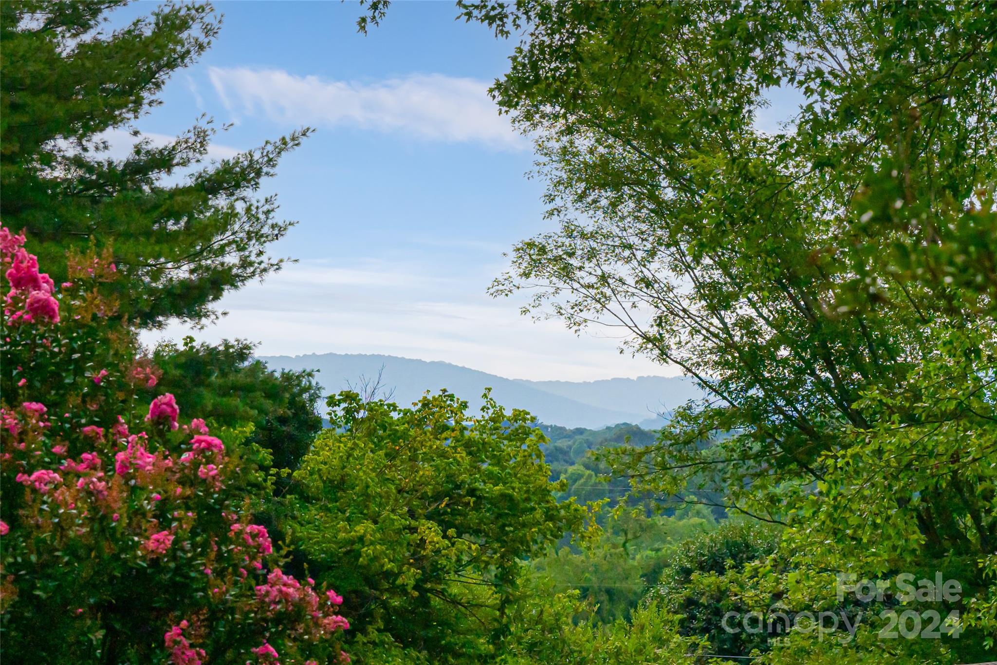 49 Big Cove Road Candler NC 28715