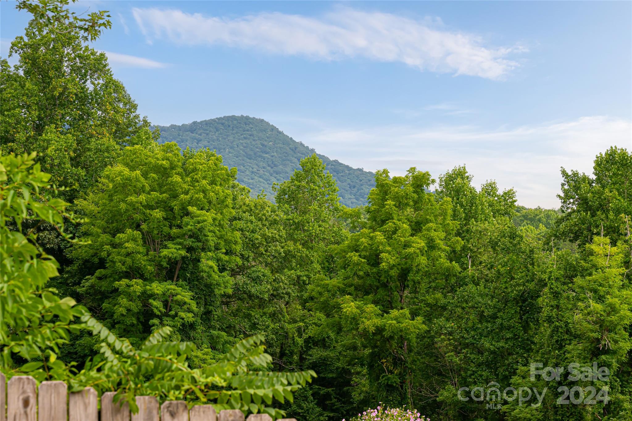 49 Big Cove Road Candler NC 28715