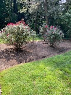 432 E Magnolia Road North Wilkesboro NC 28659