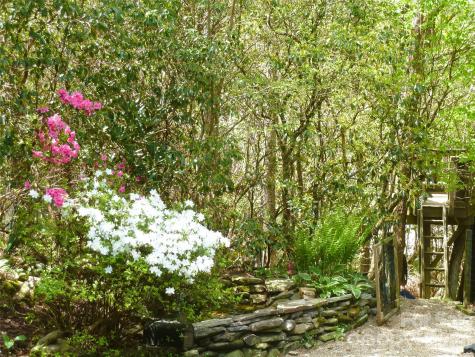 2698 Connestee Trail Brevard NC 28712