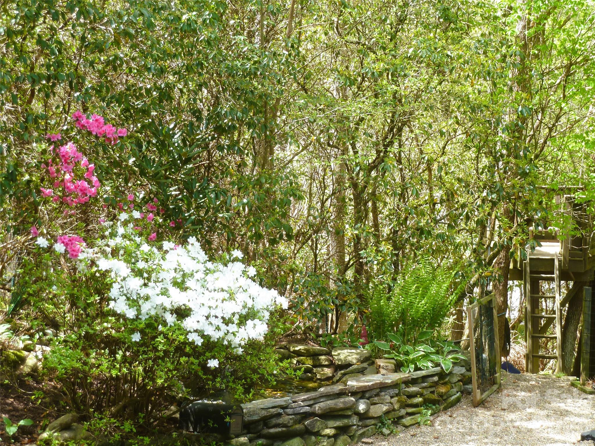 2698 Connestee Trail Brevard NC 28712