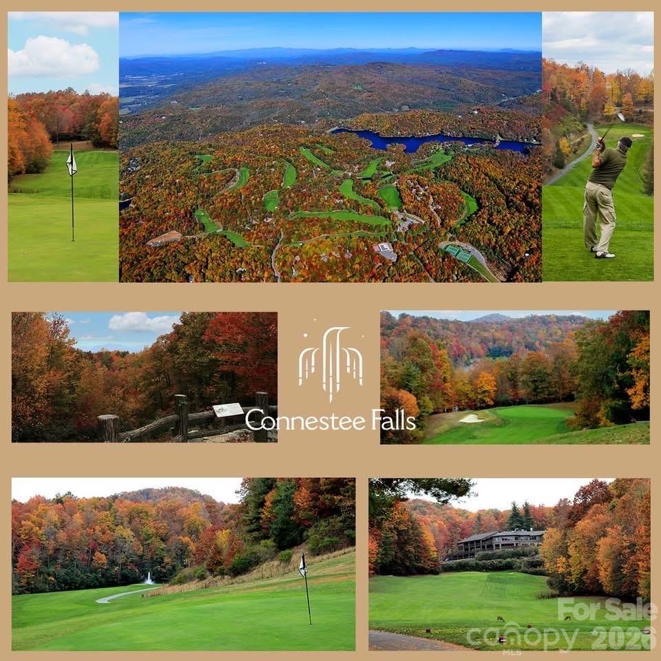 2698 Connestee Trail Brevard NC 28712