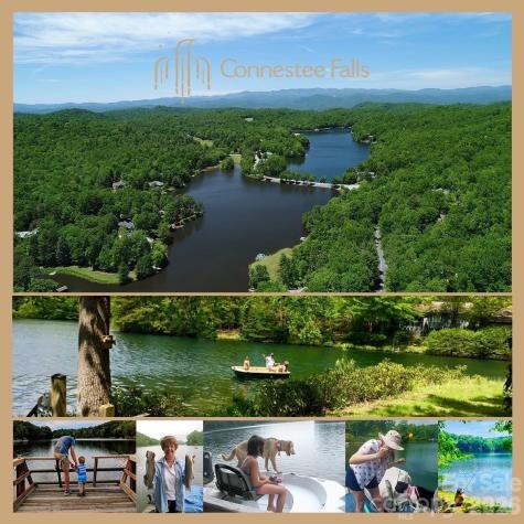 2698 Connestee Trail Brevard NC 28712