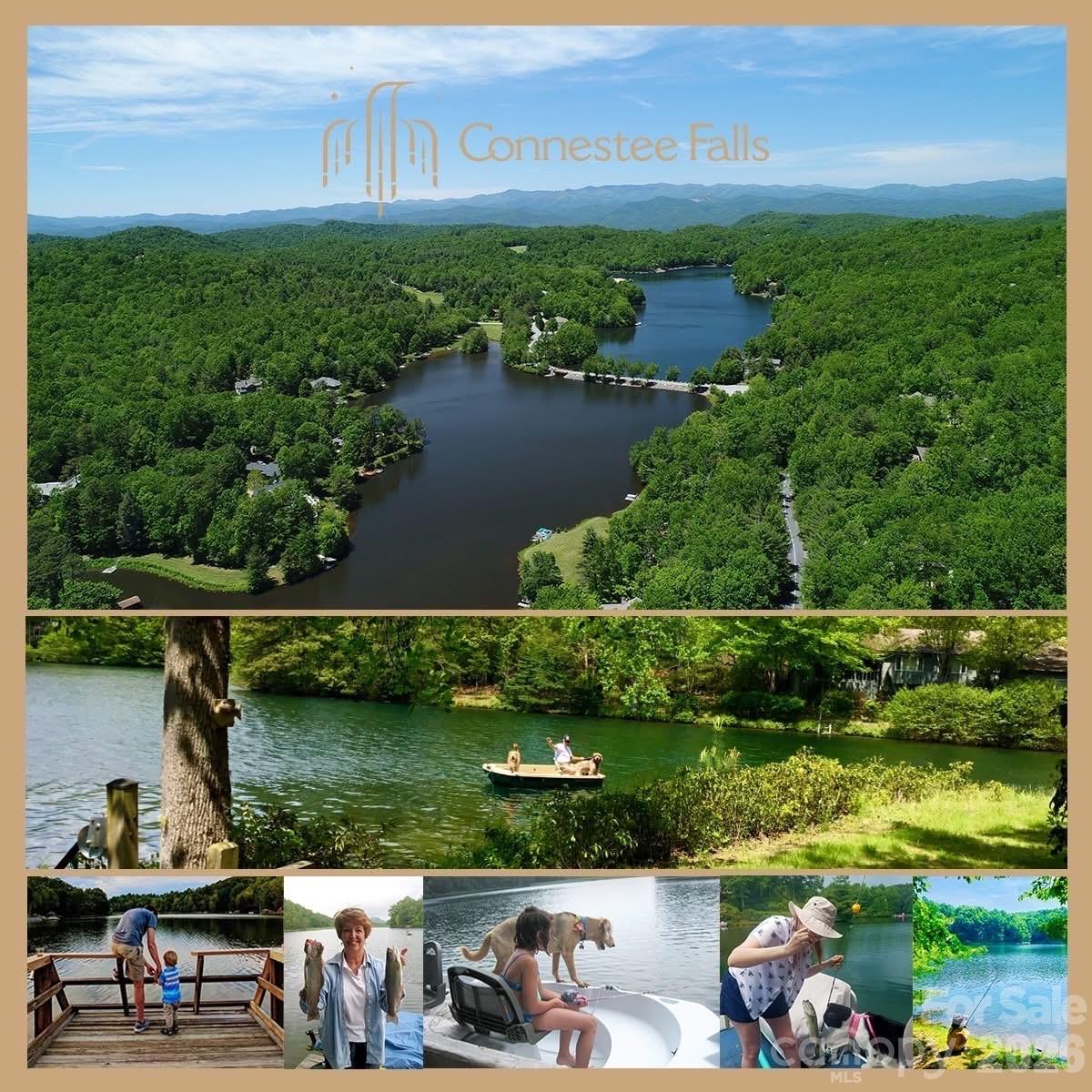 2698 Connestee Trail Brevard NC 28712