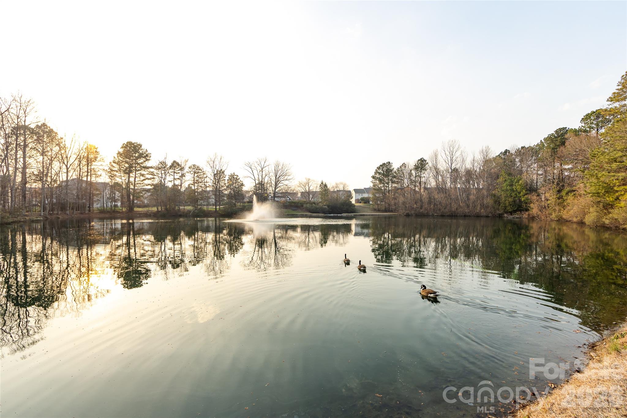 2705 Gosling Terrace Road Charlotte NC 28262