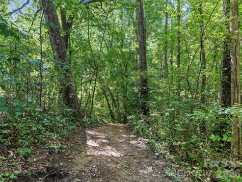 115 Bittersweet Trail Canton NC 28716