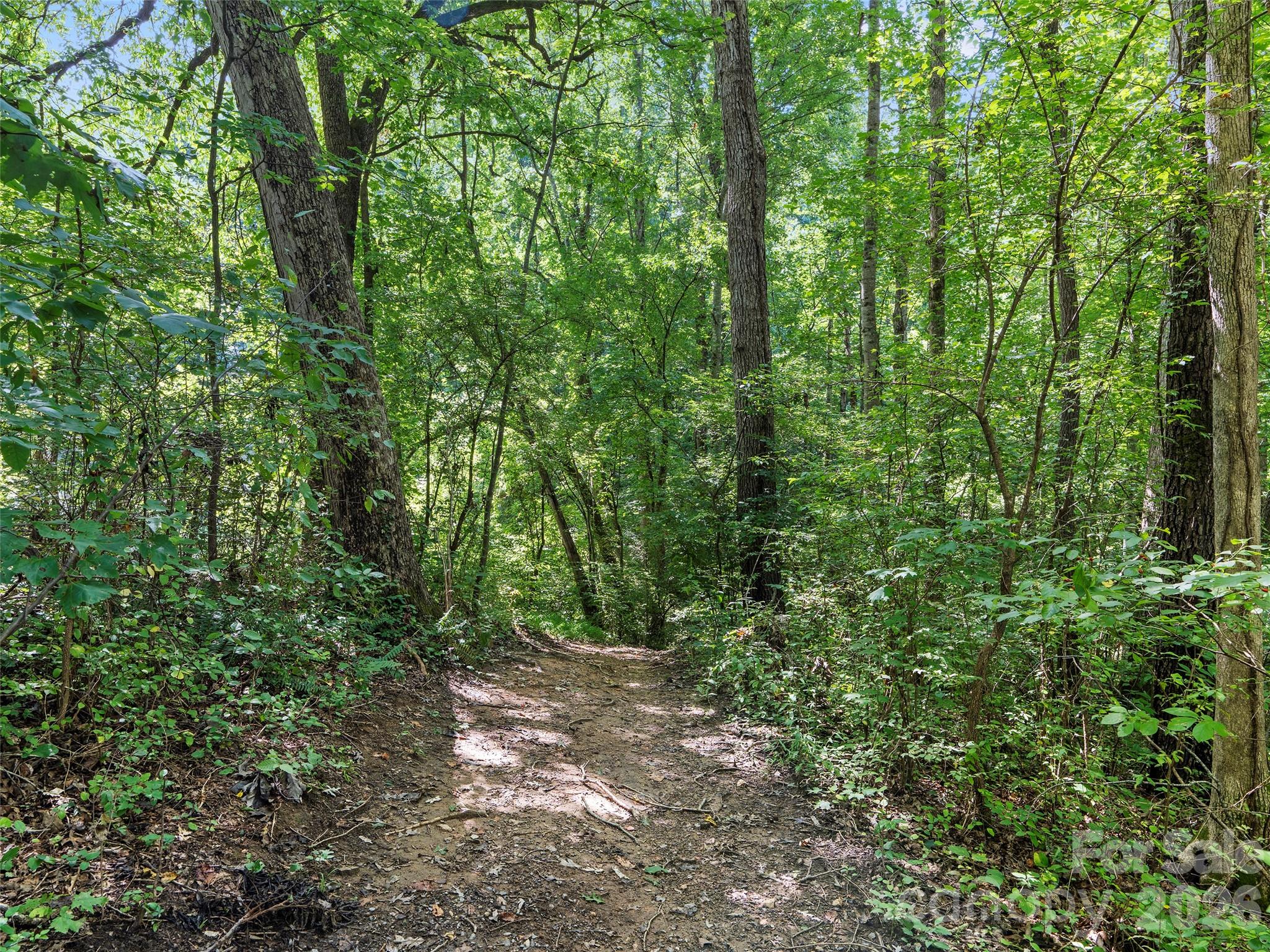 115 Bittersweet Trail Canton NC 28716