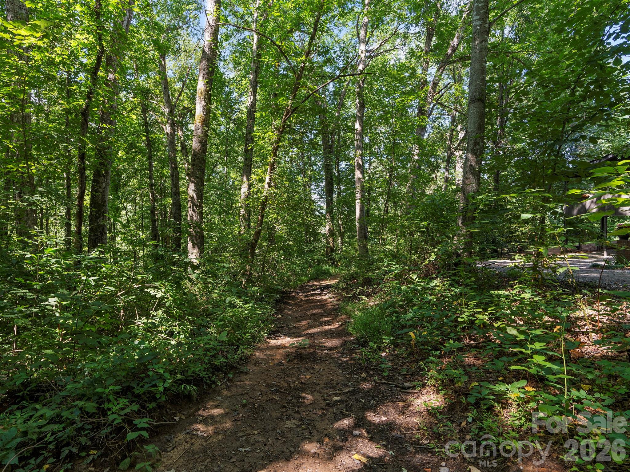 115 Bittersweet Trail Canton NC 28716