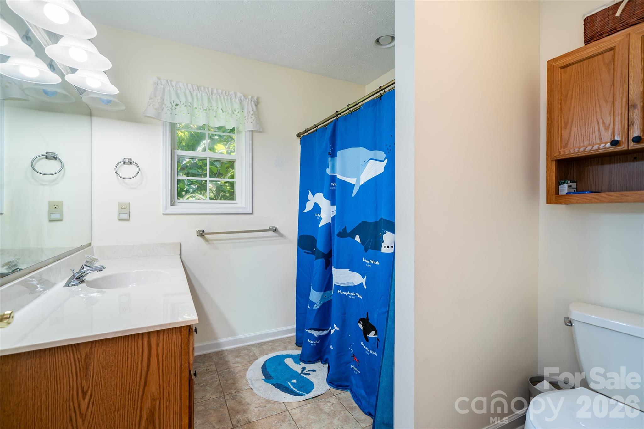 7 Firestone Court Etowah NC 28729