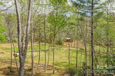 282 N Chase Lane Rutherfordton NC 28139