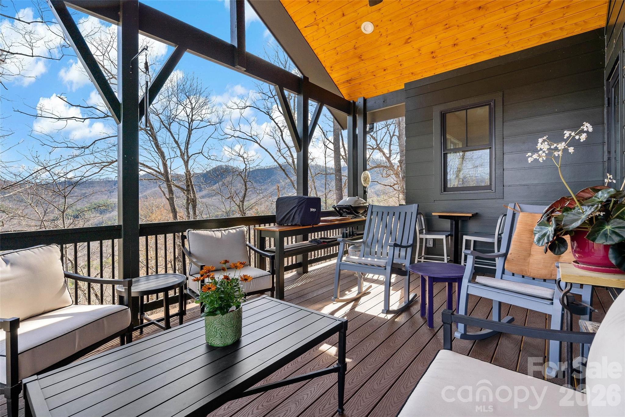 159 Settings Boulevard Black Mountain NC 28711