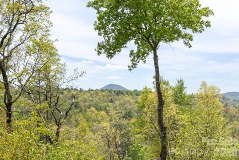 48 Bearfoot Lane Highlands NC 28741