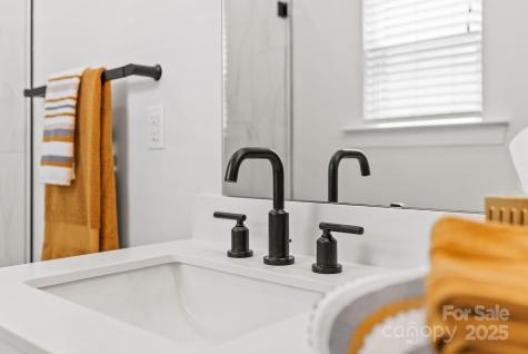 66 Walnut Springs Drive Asheville NC 28804