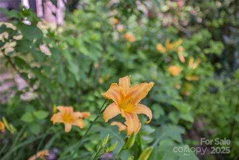 56 Faraway Drive Cullowhee NC 28723