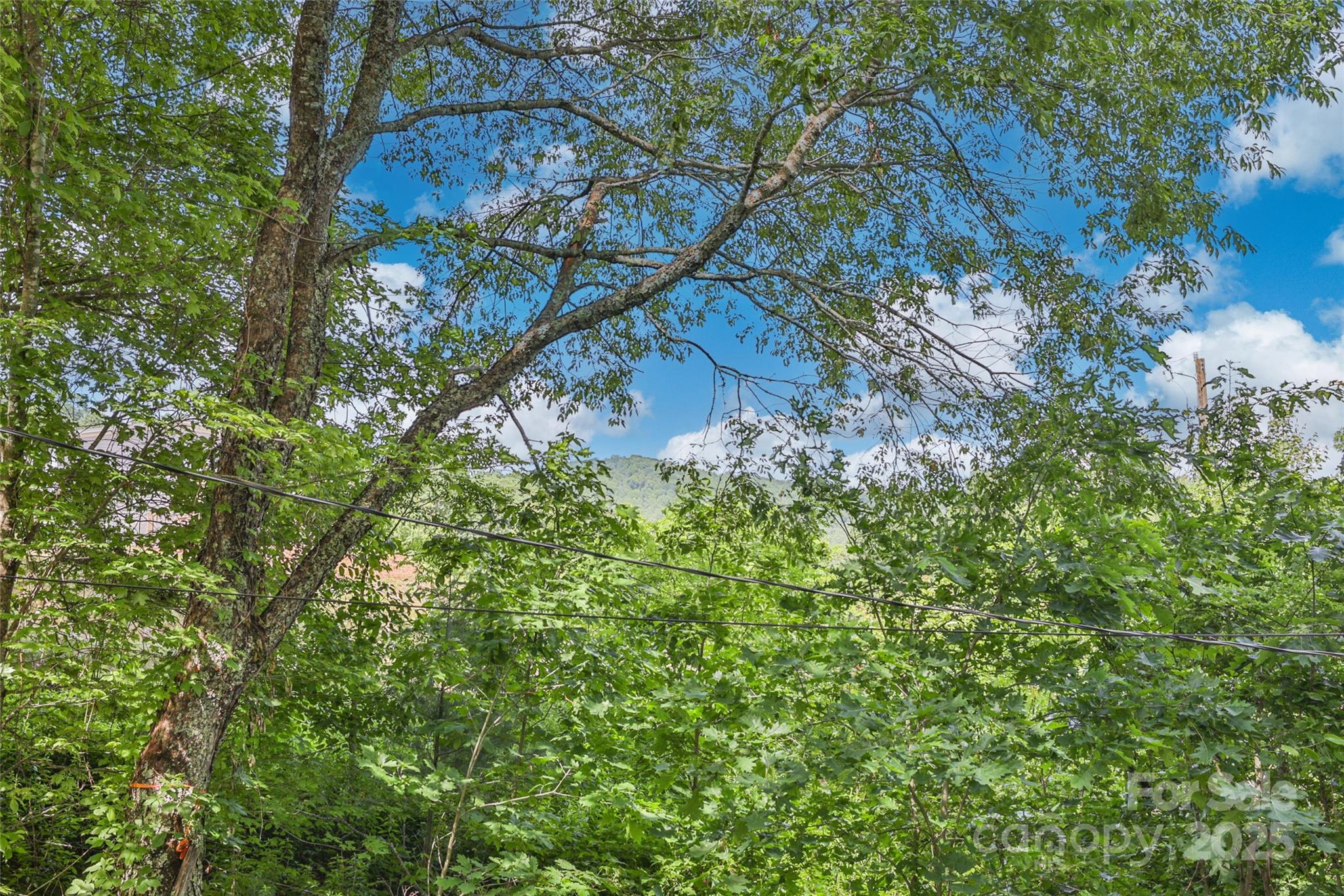 56 Faraway Drive Cullowhee NC 28723