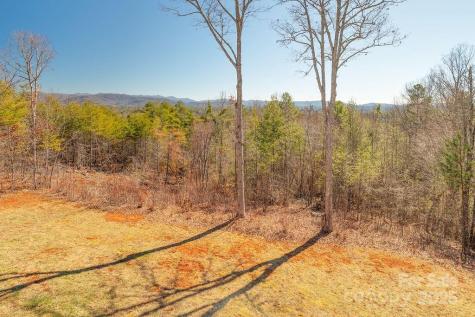 61 Buckle Ridge Weaverville NC 28787