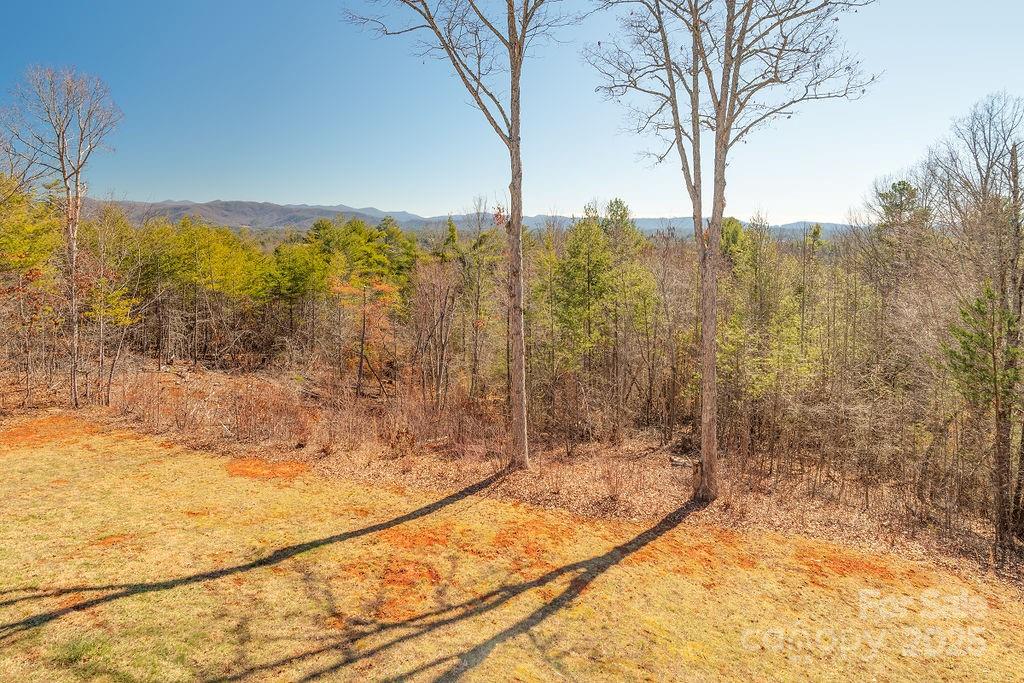 61 Buckle Ridge Weaverville NC 28787