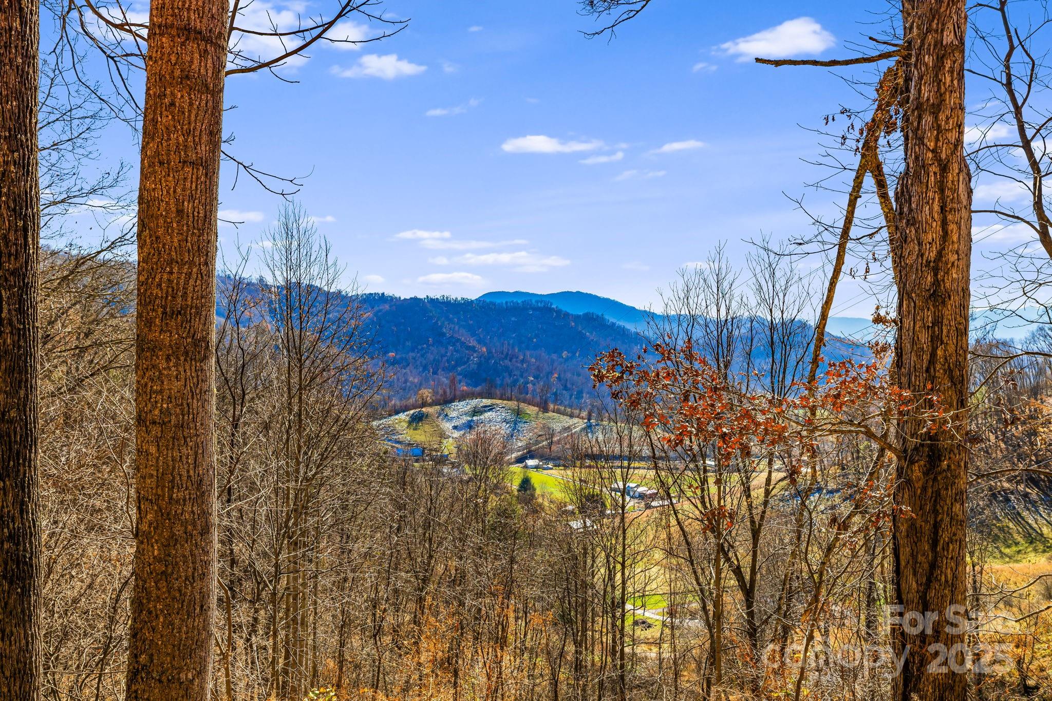 550 Cale Way Clyde NC 28721
