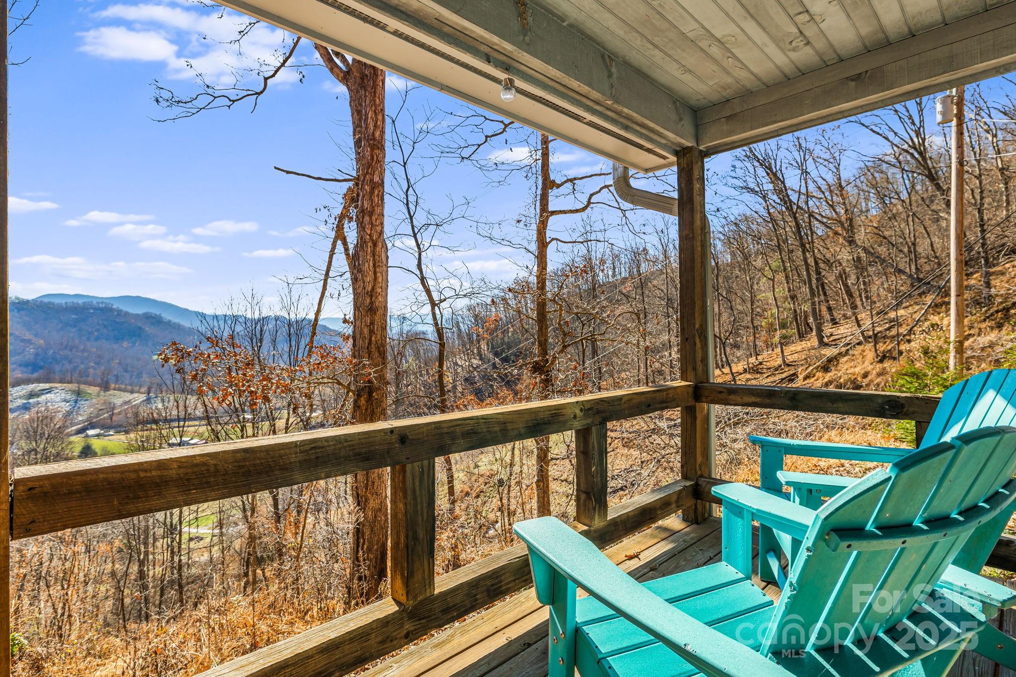 550 Cale Way Clyde NC 28721